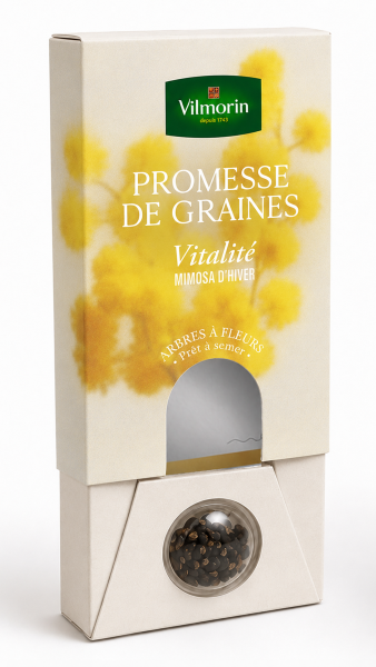 Arbres - Mimosa d'Hiver - Vitalité - face recto